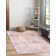 Boyland Oriental Indoor Rug