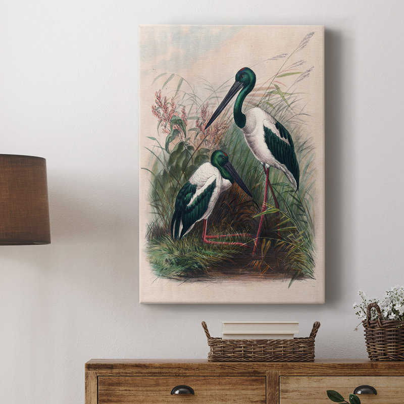 Reproduction animalière rétro III / III - galerie Cavas, H 36 po x l 24 po