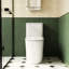 Toilette en céramique blanche, 1,1 / 1,6, allongée, confortable, siège à fermeture douce, et, T036wt une hauteur de confort, blanc