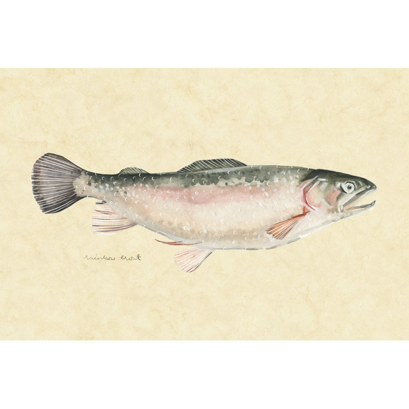 Catch Of The Day III by Emma Scarvey - Painting on Canvas, 61 cm H x 91 cm W, Wrapped Canvas