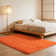 Shag Rug for Living Room, Soft Orange Area Rug, Non-Slip Carpet for Bedroom Nursery Kids Play Room Dorm Office