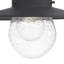 Desota Seeded Glass Outdoor Barn Light-19504067