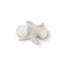 Pankhudee Paperweight-37336966