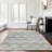  Hintzen Area Rug-1166357795