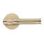 Levier de porte de passage (couloir et garde-robe)-99050617