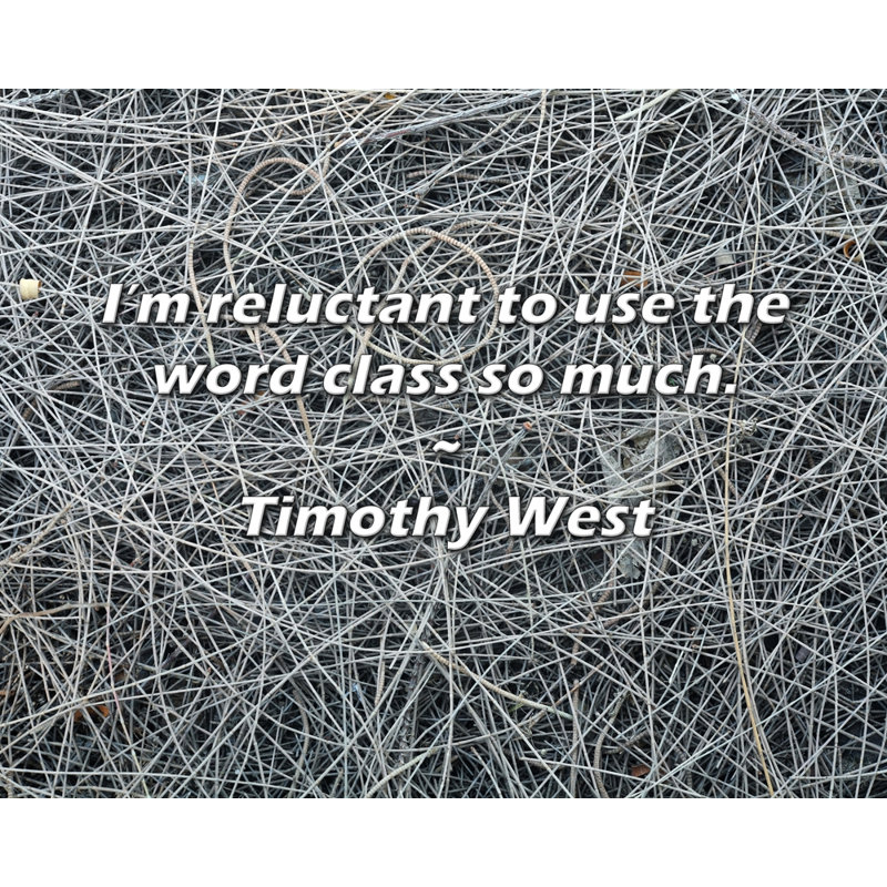 Timothy West Citation: Je suis réticent à utiliser le mot «class»., H 15 po x l 18 po