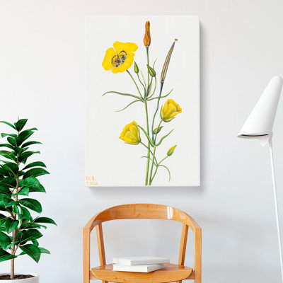Goldenbowl Mariposa by Mary Vaux Walcott - Wrapped Canvas
