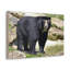 No Frame Print on Canvas-1843702877