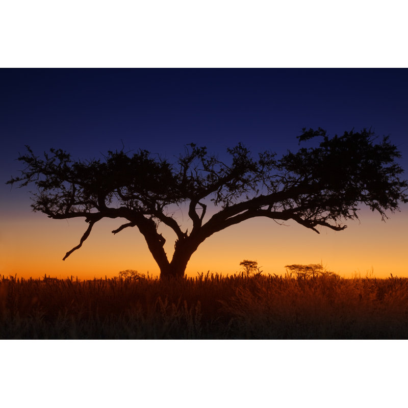 Sunset In Africa by LucynaKoch - Wrapped Canvas Print, 81cm H x 122cm W