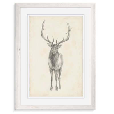 " Elk Study " by Paul Cezanne Acrylic Painting