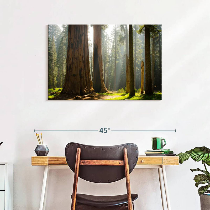 Harnek Kings Canyon Redwood, 24" H x 36" W