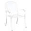 Patio Dining Armchair-907268499