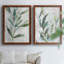 " Tropical Foliage Study I " 2 - Pieces Painting Print