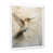 White Single Picture Framed