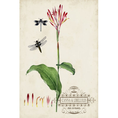 Canna & Dragonflies II by Vision Studio - Wrapped Canvas Painting