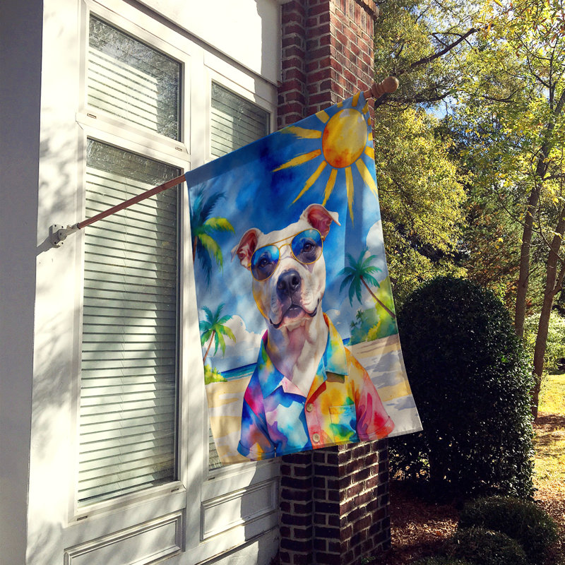 Drapeau de la maison esquimau américain, Pitbull-terrier