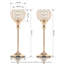 Metal Candelabra