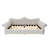 Queen Size Upholstered Daybed with LED Lighting and Nailhead Trim – Sofa to Bed Convertible, Beige-603756257