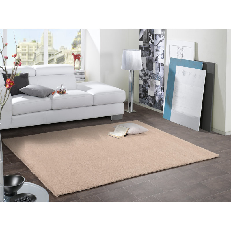 Beige Rug, Rectangular 160 x 230cm