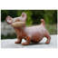 Figurine Colima
