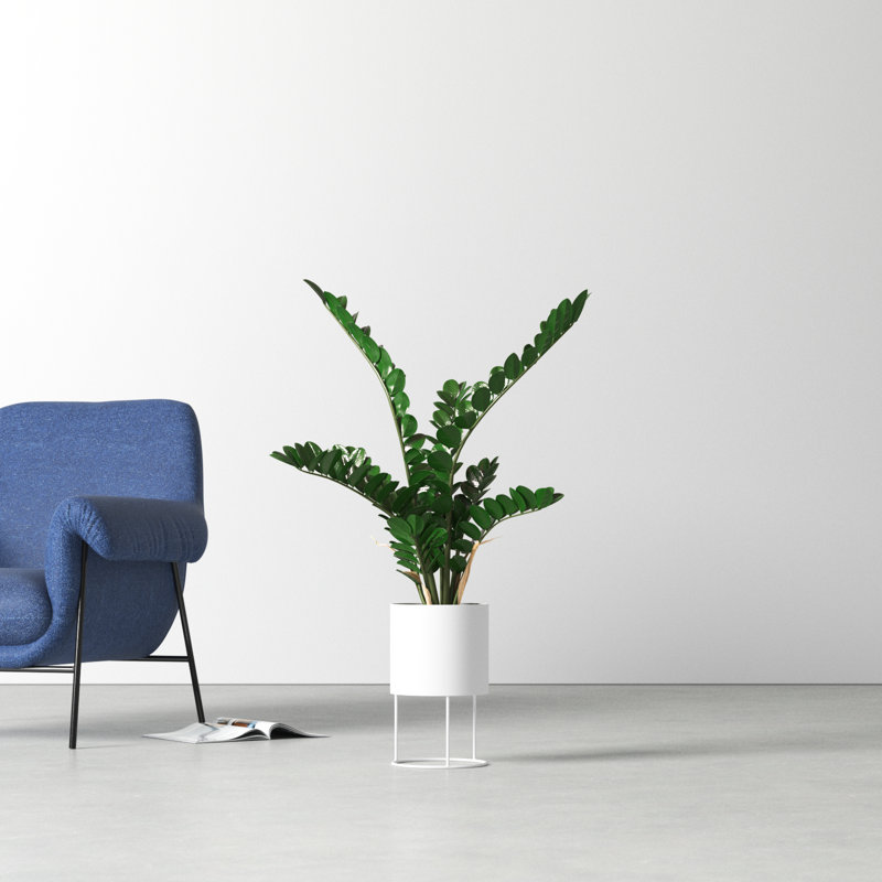 33'' Faux Plant in Pot