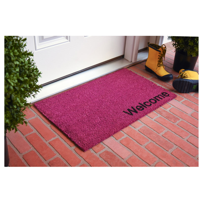 Tapis d'entrée antidérapant Kasper, L 24 po x L 36 po, Magenta