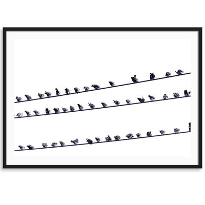 Birds On A Wire Print by Carly Tabak