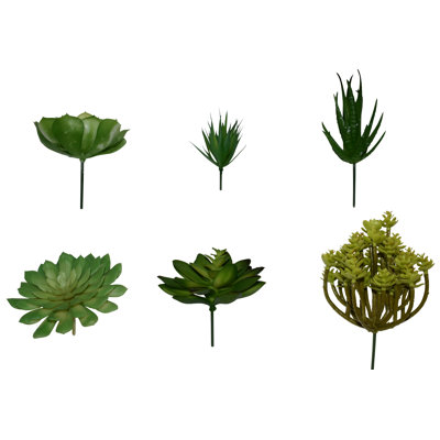 Ensemble de 6 fausses plantes grasses assorties (ensemble de 6)