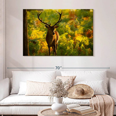 Cerf Brampt Autumn Woodland