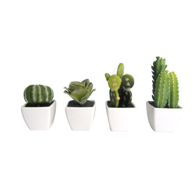 5'' Faux Cactus Plant in Ceramic Pot