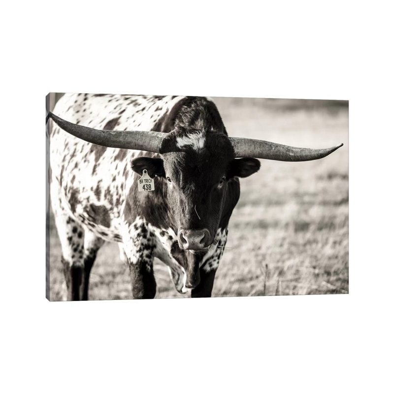 Longhorn Portrait by Tyler Stockton - Wrapped Canvas Print, 20.32 cm H x 30.48 cm W