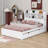 Catelin Bookcase Bed-147906116