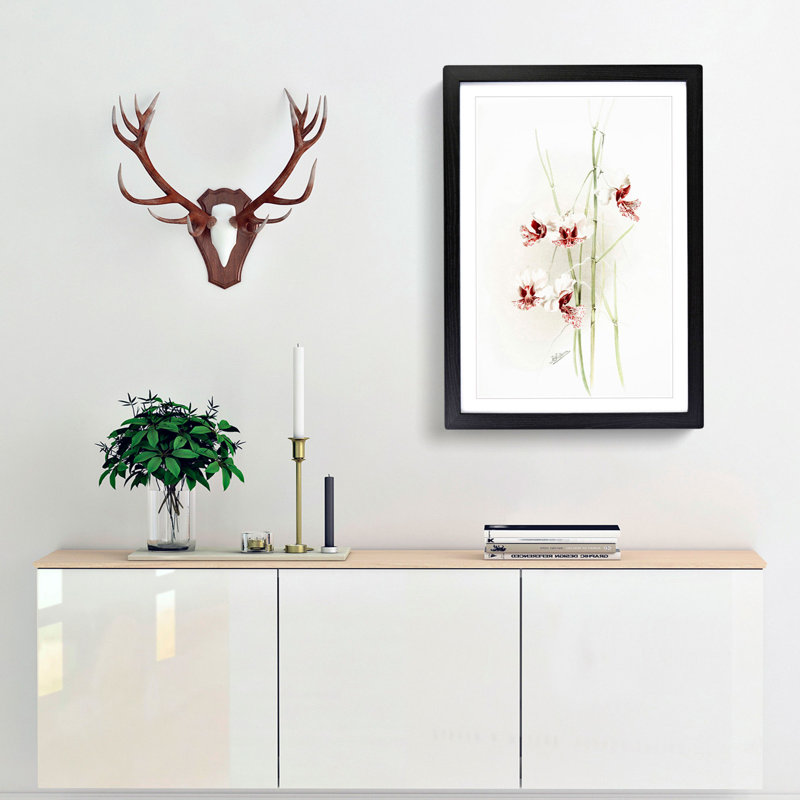 Magnolia Flowers Illustration Tab.74 by Frederick Sander - Picture Frame Art Print, 60cm H x 40cm W x 2cm D, Black