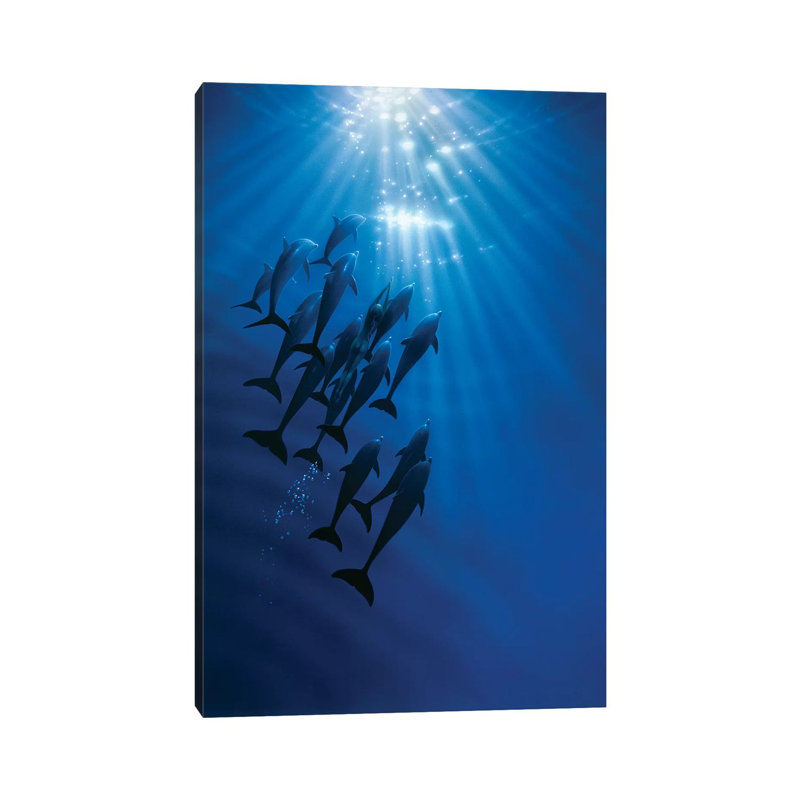 The Gathering by Kirk Reinert - Wrapped Canvas Print, 20.32 cm H x 30.48 cm W