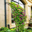 Arche de jardin treillis pour plantes - thermolaquée, 15,67 po Large, en métal noir,