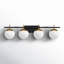 4-Light Dimmable Vanity Light