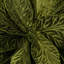 Tiges de poinsettia-2107977044