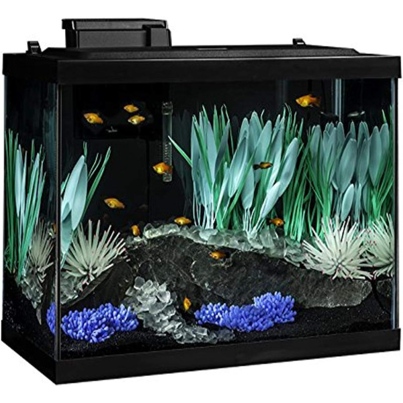 Ensemble d'aquarium 20 gallons avec éclairage à DEL et décorations Colorfusion