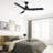 Kamy 52'' Ceiling Fan with LED Lights