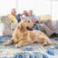 Abstract Shag Area Rug-851716488-843384282
