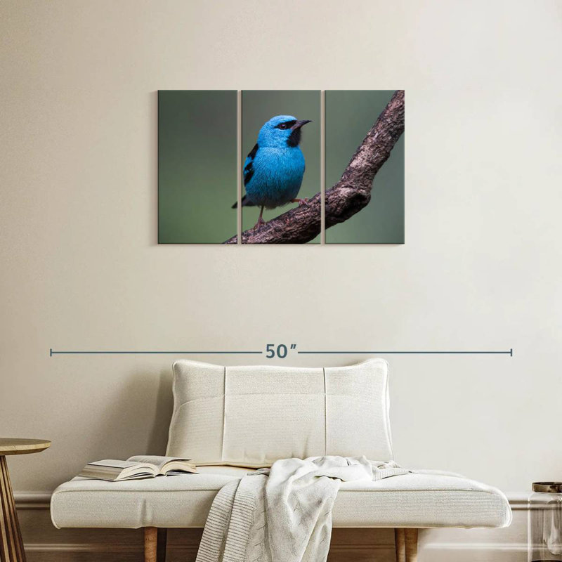 Vivid Blue Bird, 20" H x 33" W