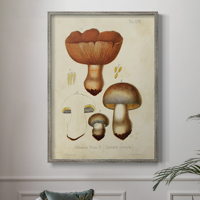 Champignon Variétés I, reproduction encadrée - bois massif, H 11 po x l 9 po