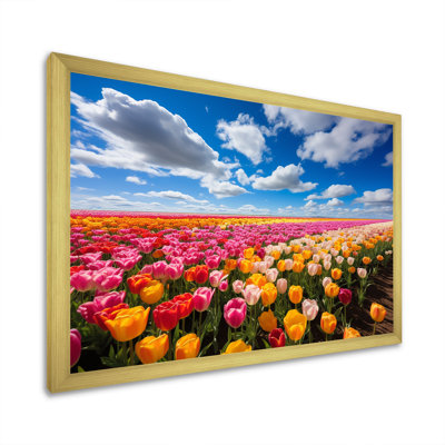 Champ de tulipes colorées I - art mural tulipe