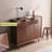 Modern Brown Solid Wood Shoe Storage