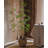 Bamboo Stem-976947545