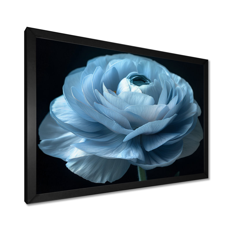 Reproduction d'art mural monochrome noir renoncule congelée - renoncule, H 12 po x l 20 po, Cadre simple noir