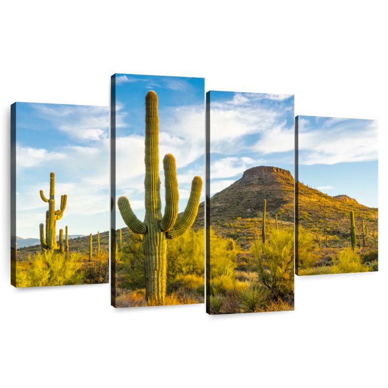 Alvord, Arizona, désert, soleil, H 22 po x l 36 po