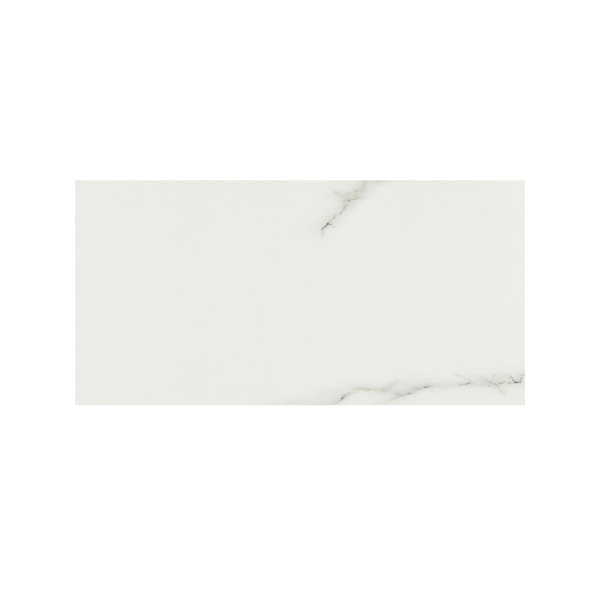 Azira Nevara 12 in. x 24 in. Stone Look Polished Porcelain Floor and Wall Tile