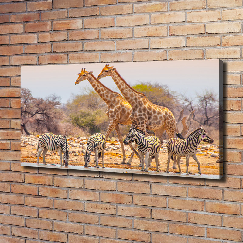 Giraffes And Zebras - Wrapped Canvas Print