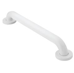 Concealed Screw Grab Bar Moen 